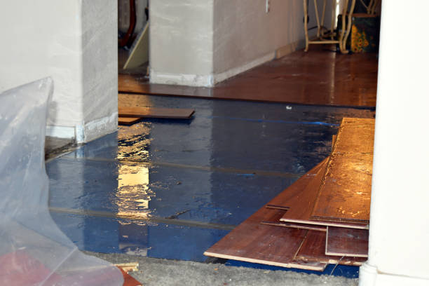 Professional Flood Damage Repair technician working in Luxemburg, WI
